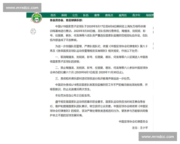 足球停赛规则对球队战绩与比赛策略的深远影响分析 足球停赛规则对球队战绩与比赛策略的深远影响分析