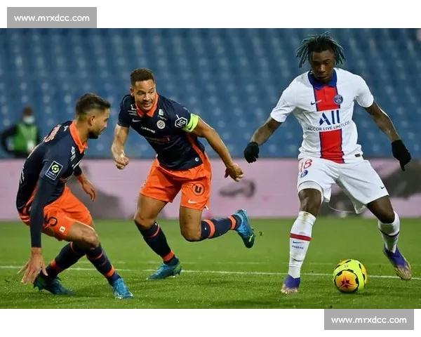 全方位解析即将开启的体育赛事 看点与预测一网打尽 全方位解析即将开启的体育赛事 看点与预测一网打尽